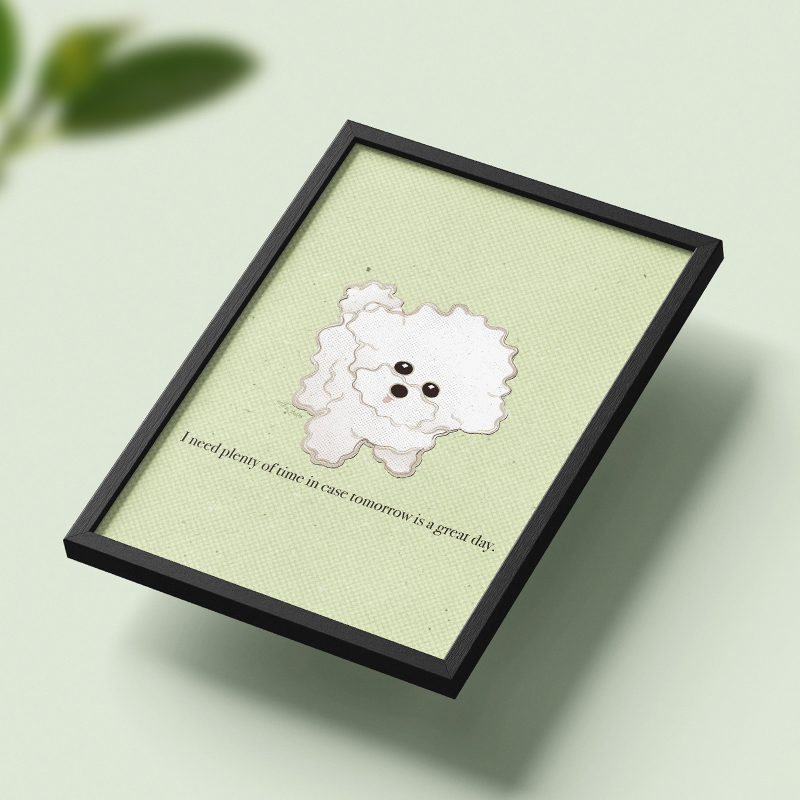 Bichon Frisé
