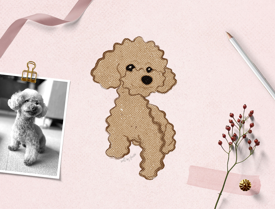 toypoodle
