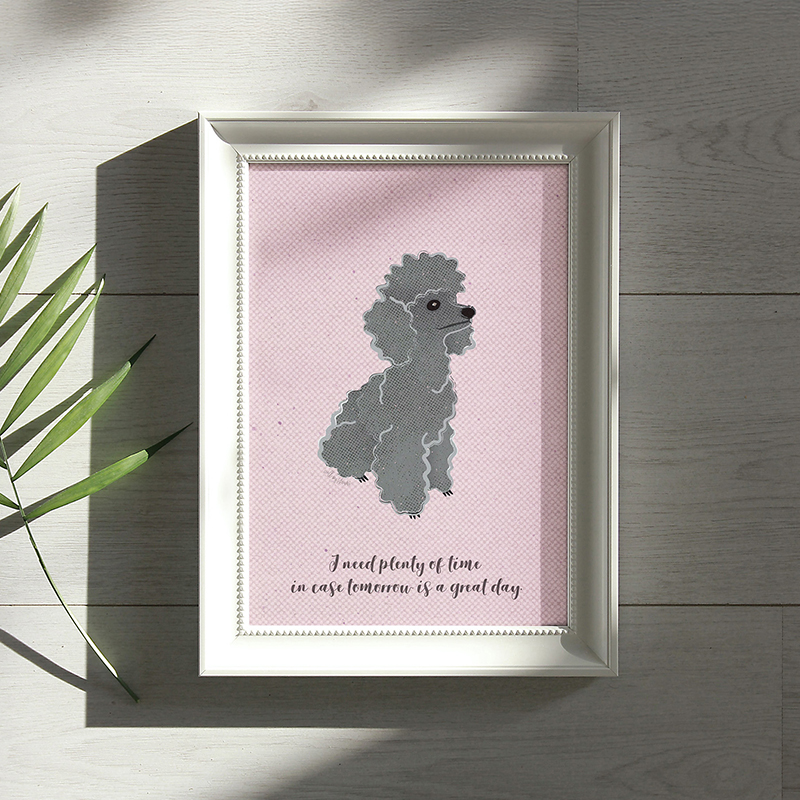 toy-poodle